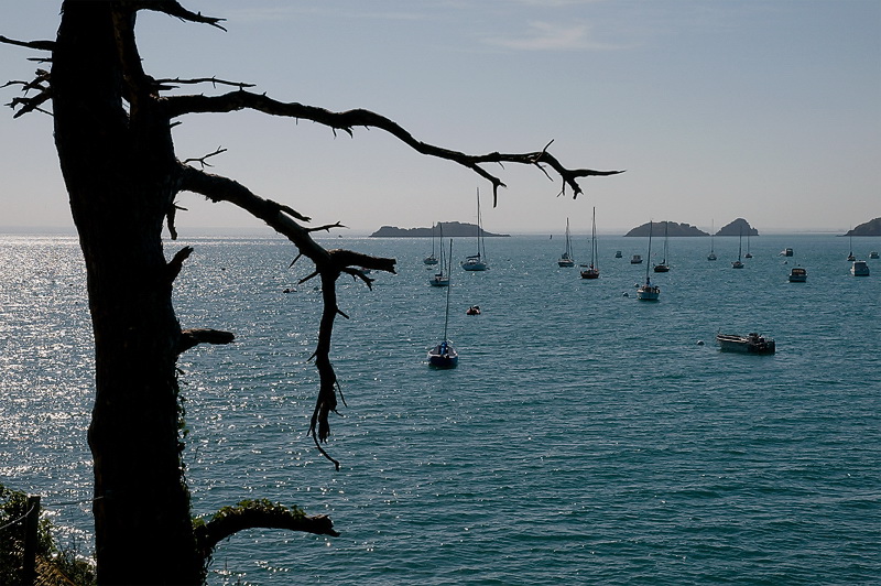 Bretagne 09-2012 D35_0916 als Smart-Objekt-1 Kopie.jpg - Auf einer Küstenwanderung in Pointe de Grouin boten sich bei wunderschönem Wetter solche Motive